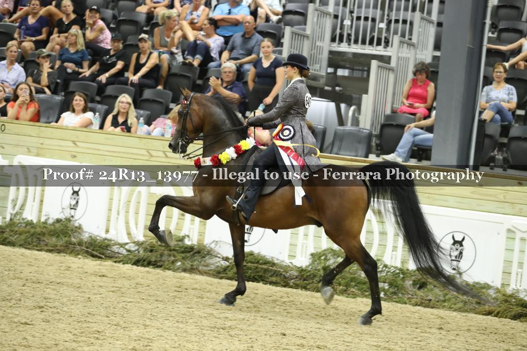 Proof 24R13_13977