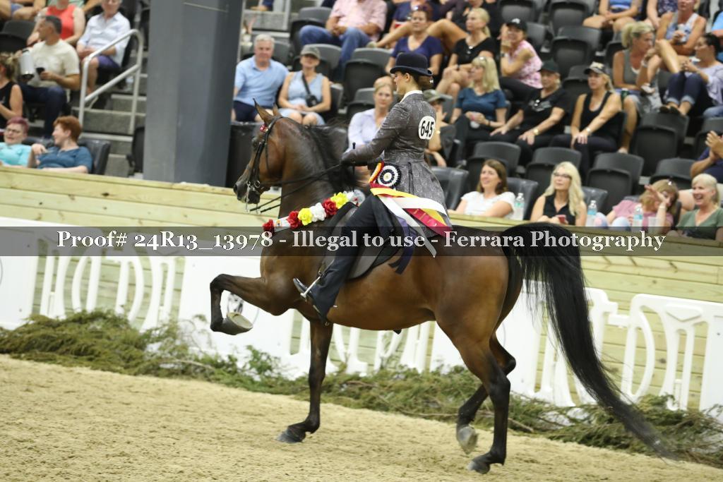 Proof 24R13_13978