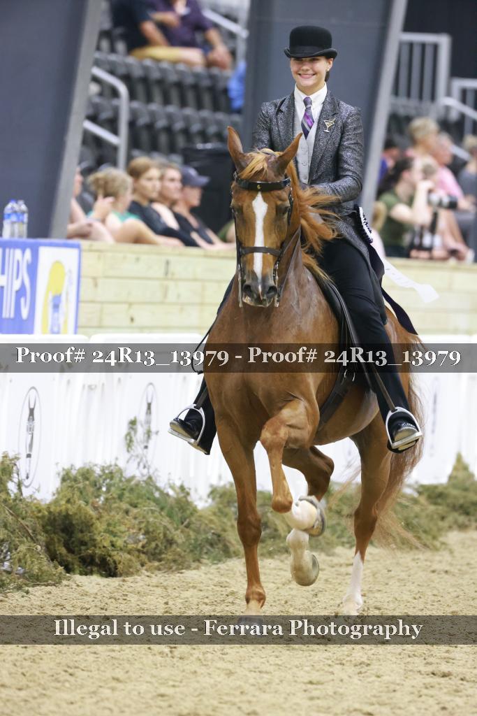 Proof 24R13_13979