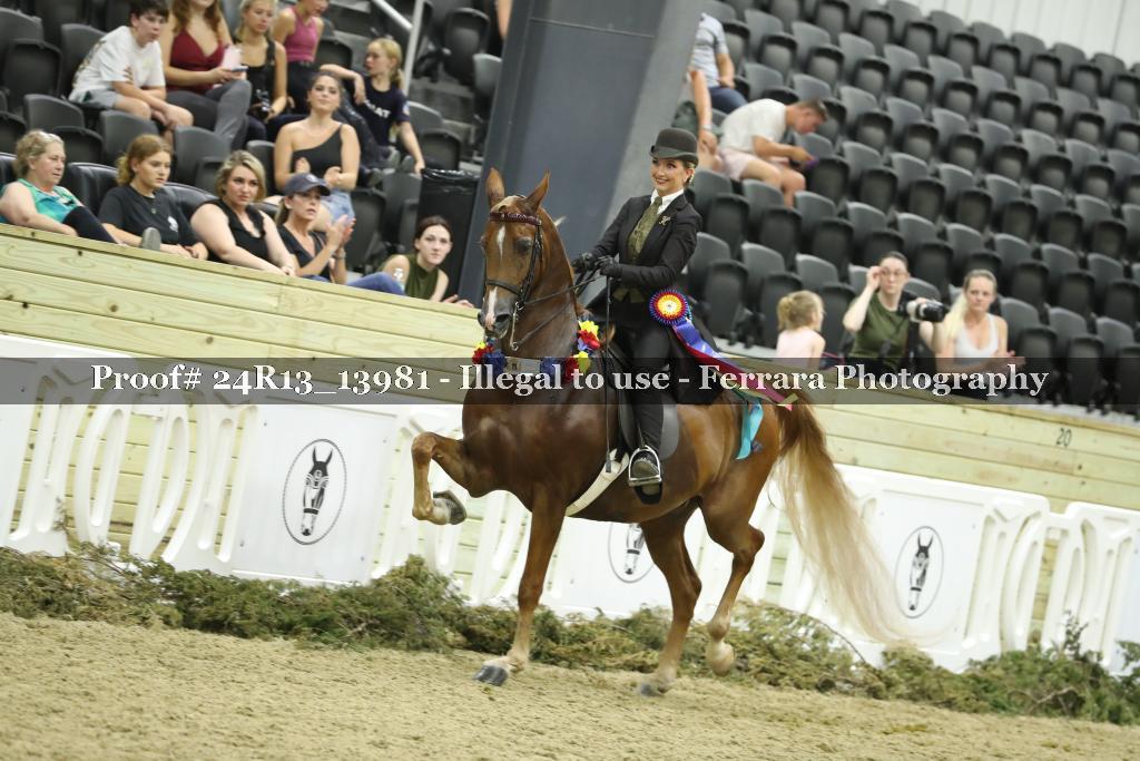 Proof 24R13_13981