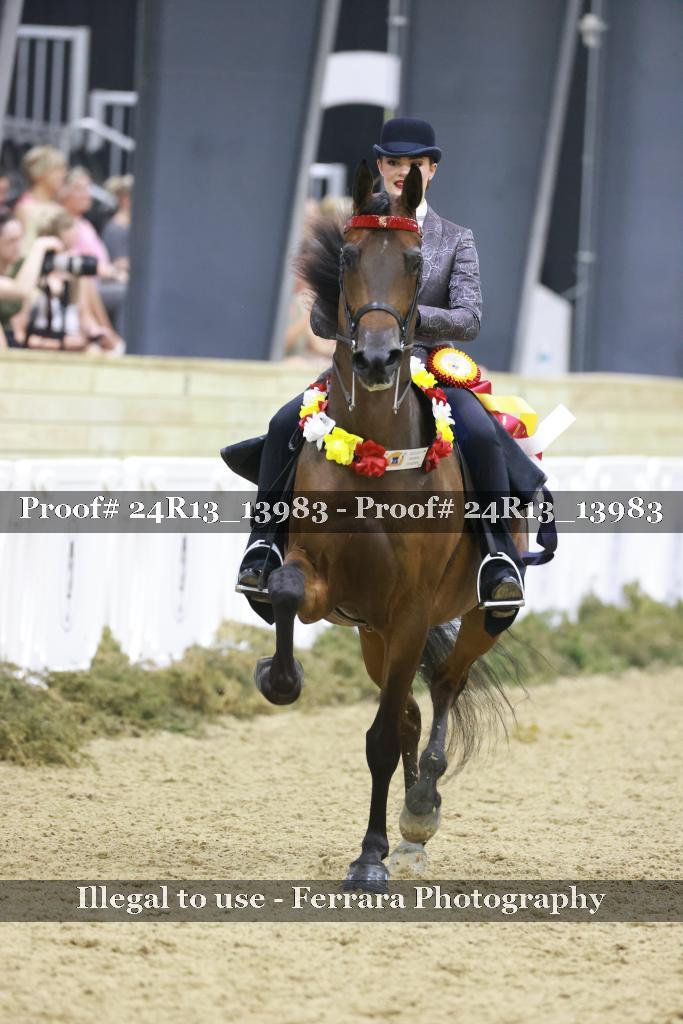 Proof 24R13_13983