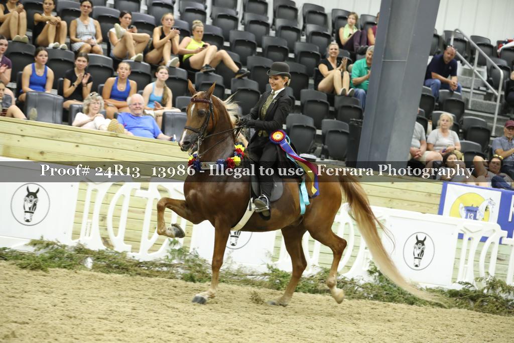 Proof 24R13_13986