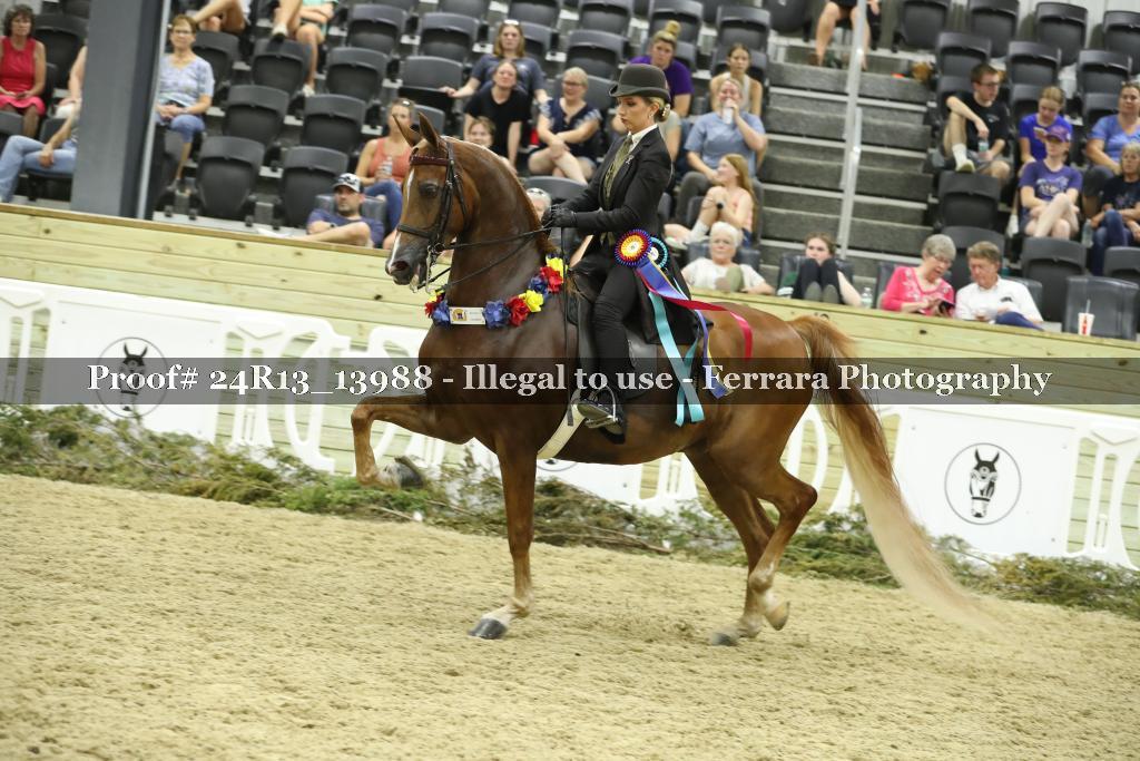 Proof 24R13_13988