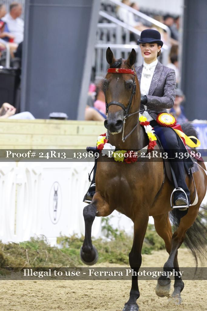 Proof 24R13_13989