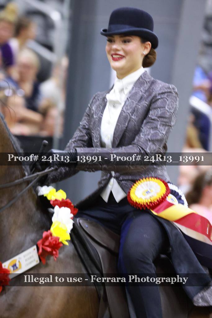 Proof 24R13_13991