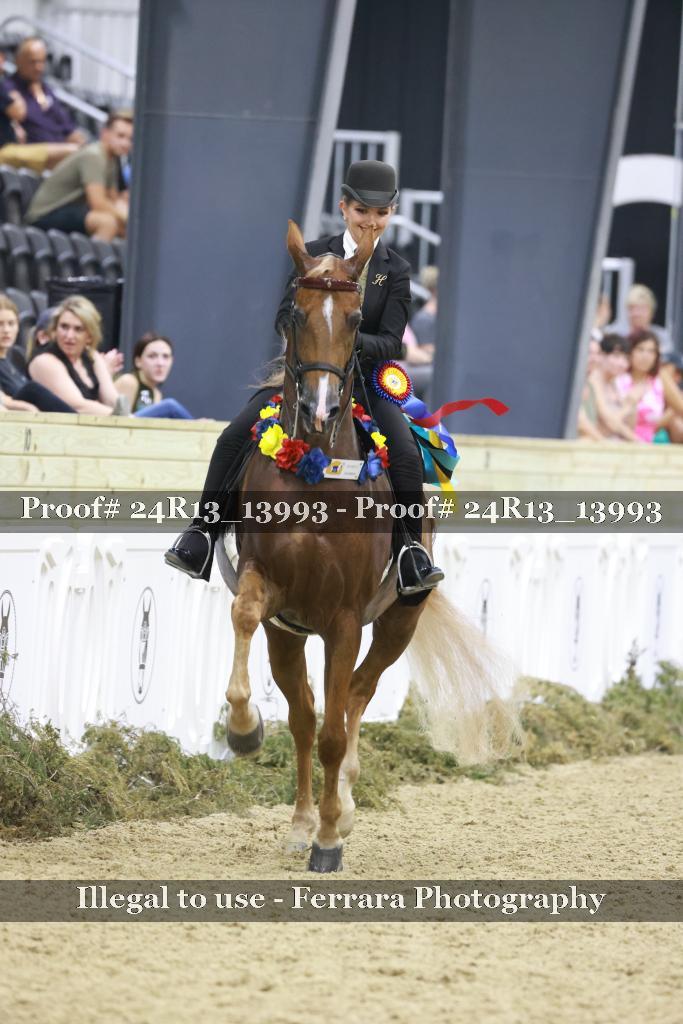 Proof 24R13_13993