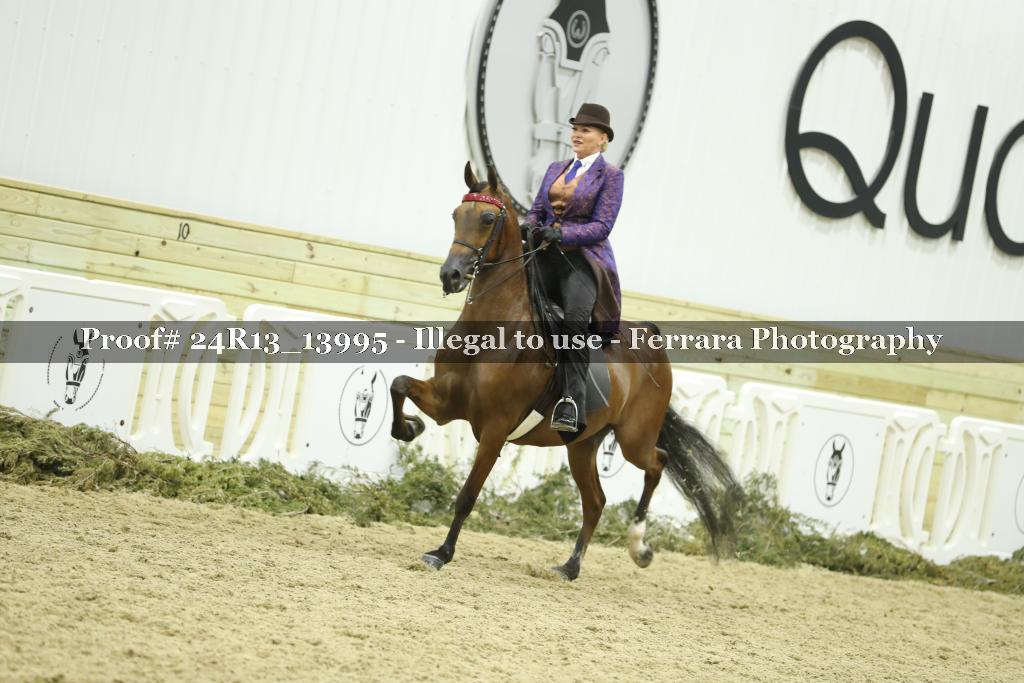 Proof 24R13_13995