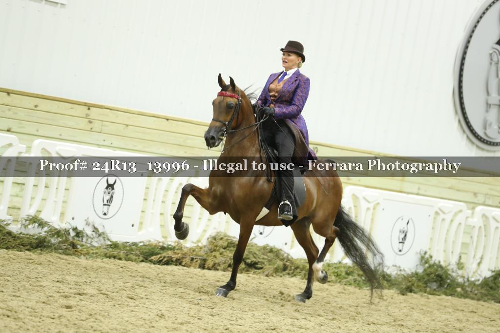 Proof 24R13_13996