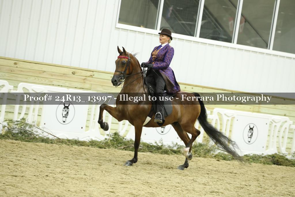 Proof 24R13_13997