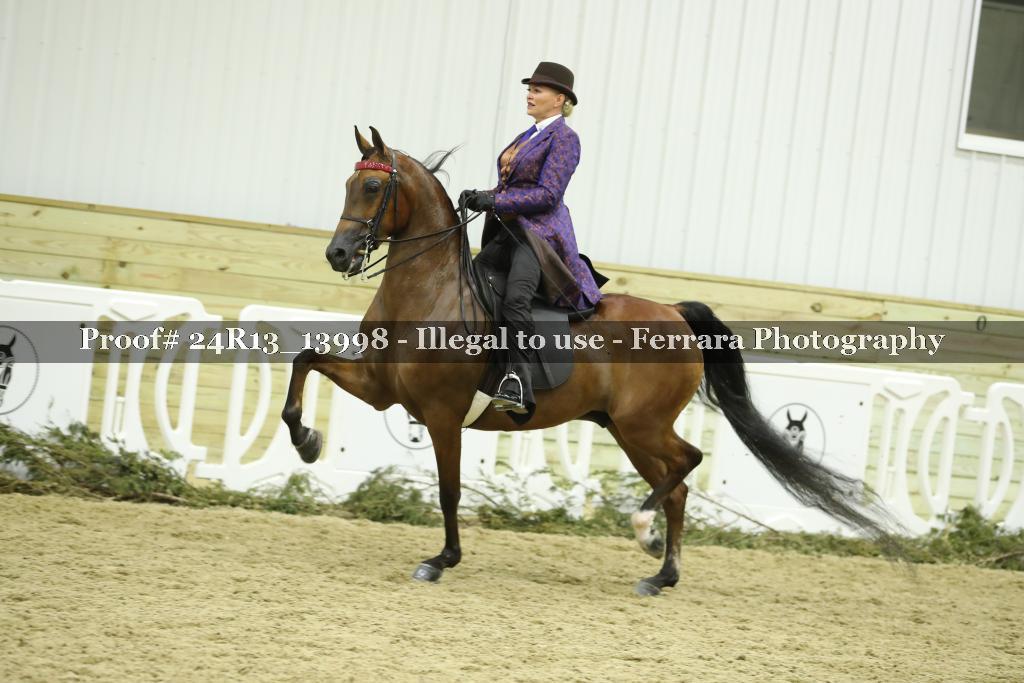 Proof 24R13_13998