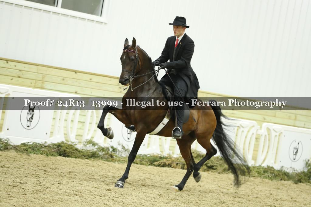 Proof 24R13_13999