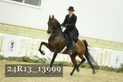 24R13_13999 proof