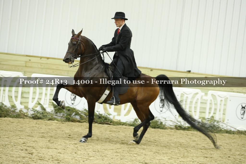 Proof 24R13_14001