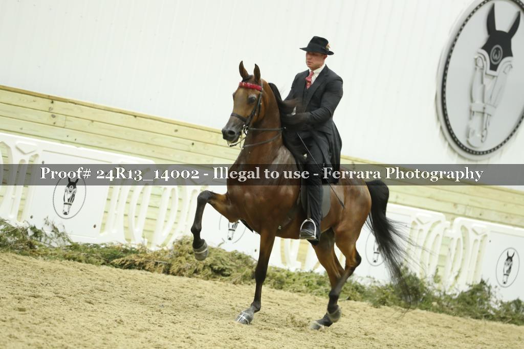 Proof 24R13_14002