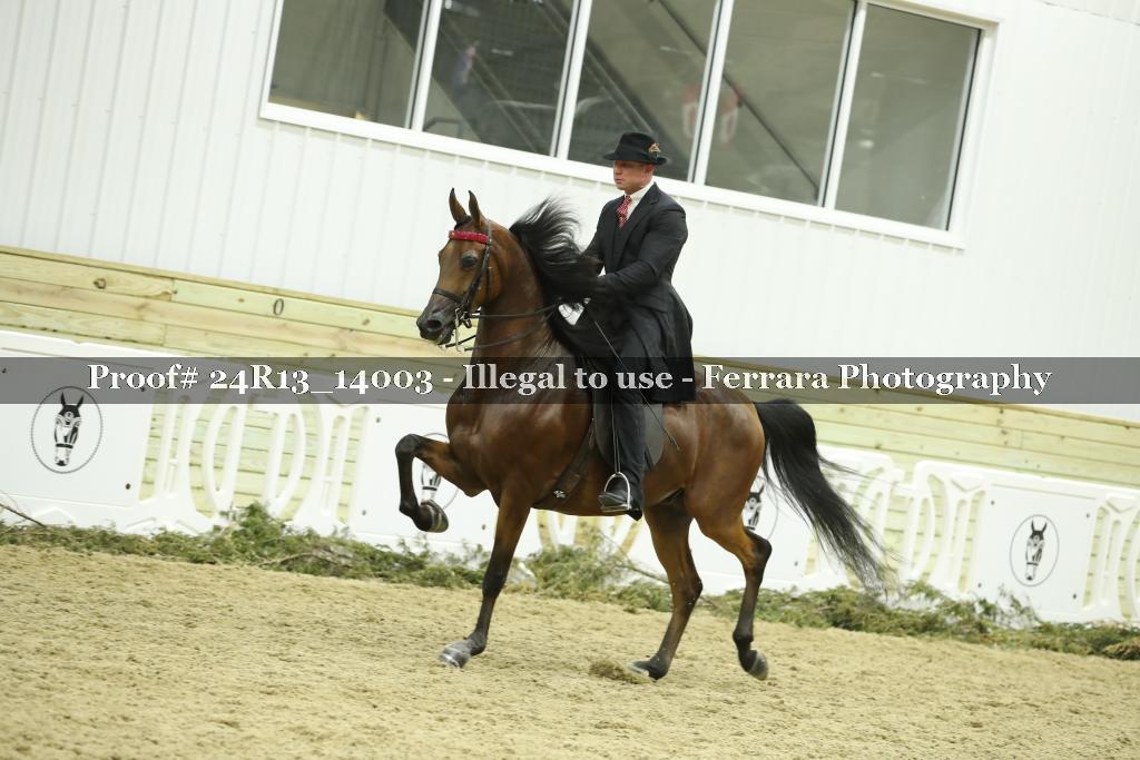 Proof 24R13_14003