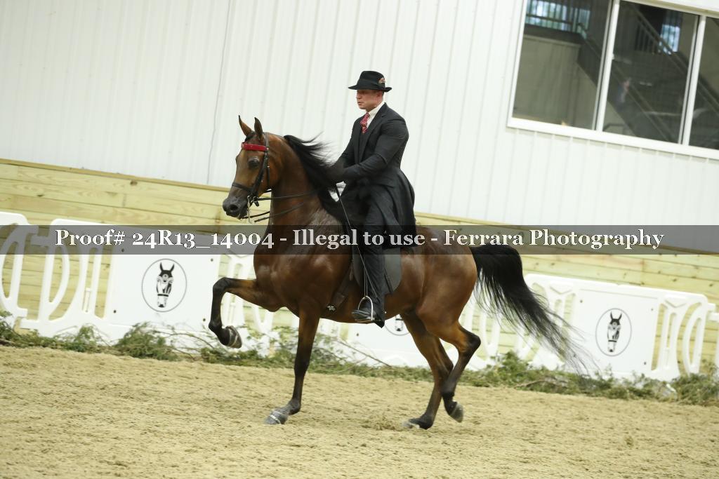 Proof 24R13_14004