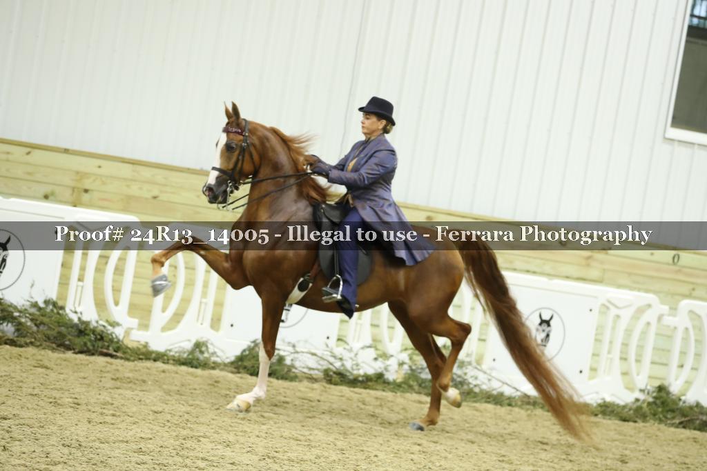 Proof 24R13_14005