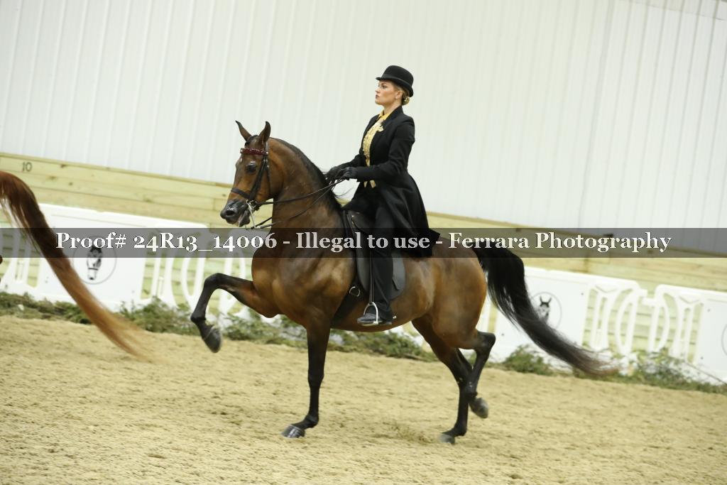 Proof 24R13_14006