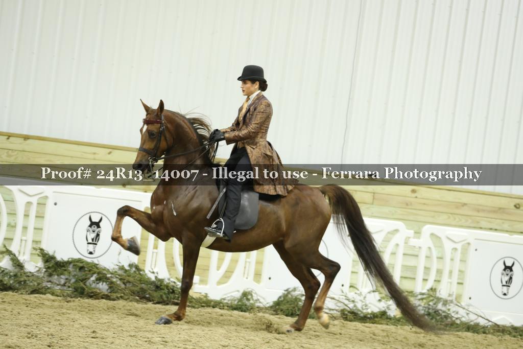 Proof 24R13_14007