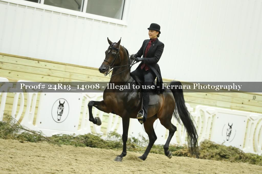 Proof 24R13_14008