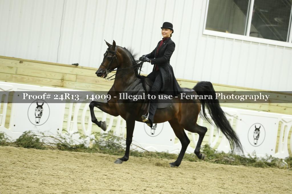 Proof 24R13_14009