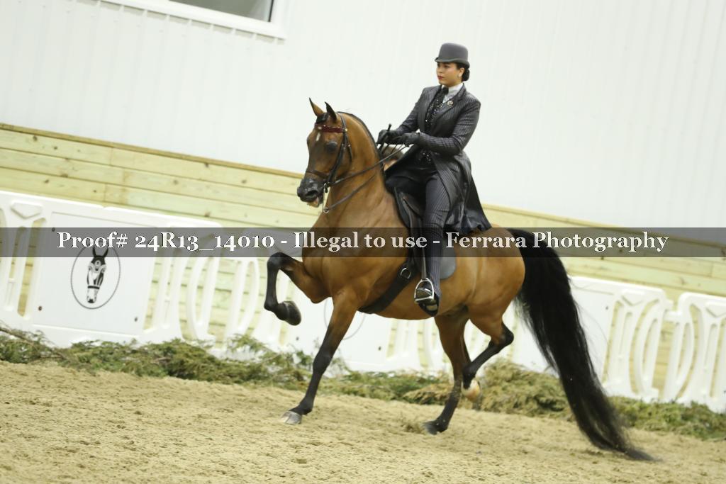 Proof 24R13_14010