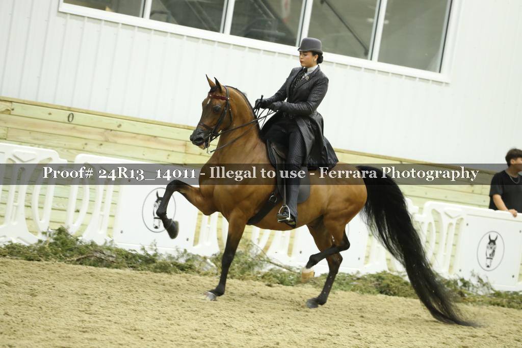 Proof 24R13_14011