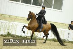 24R13_14011 proof