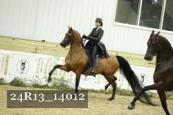 24R13_14012 proof