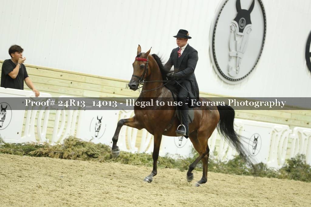 Proof 24R13_14013