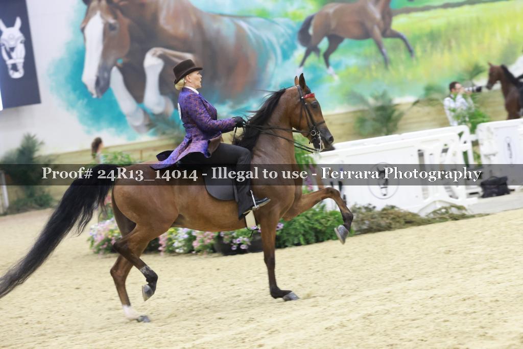 Proof 24R13_14014