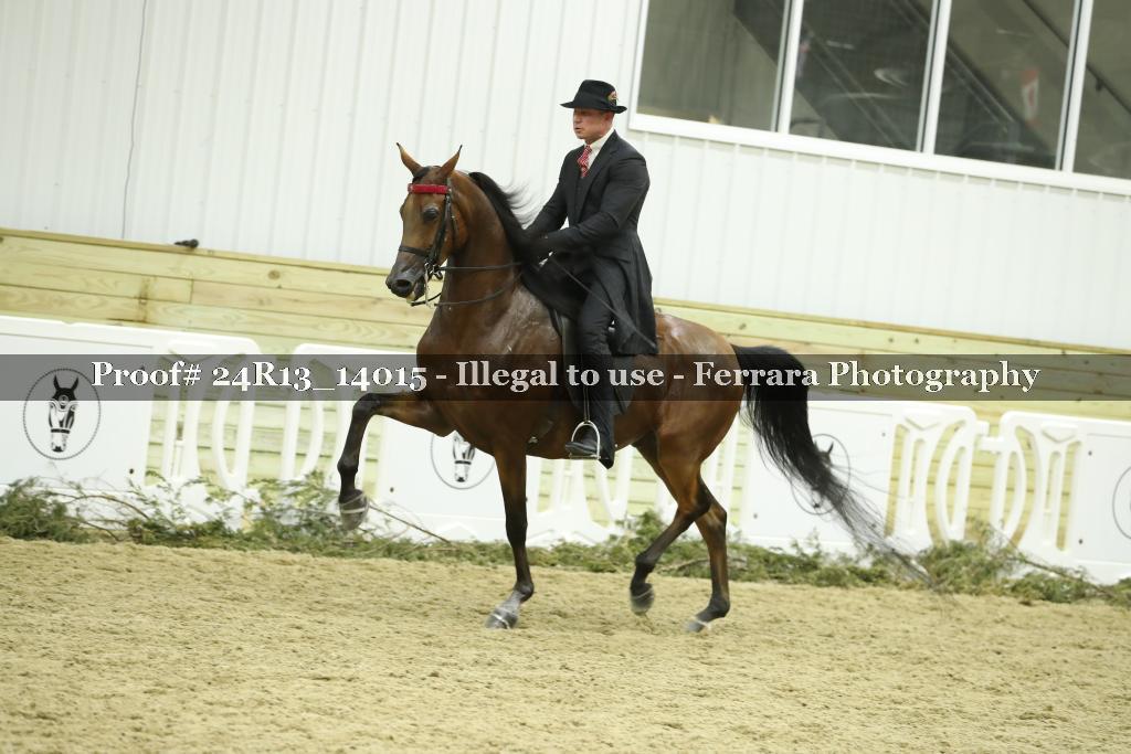 Proof 24R13_14015