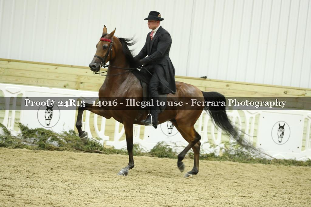 Proof 24R13_14016