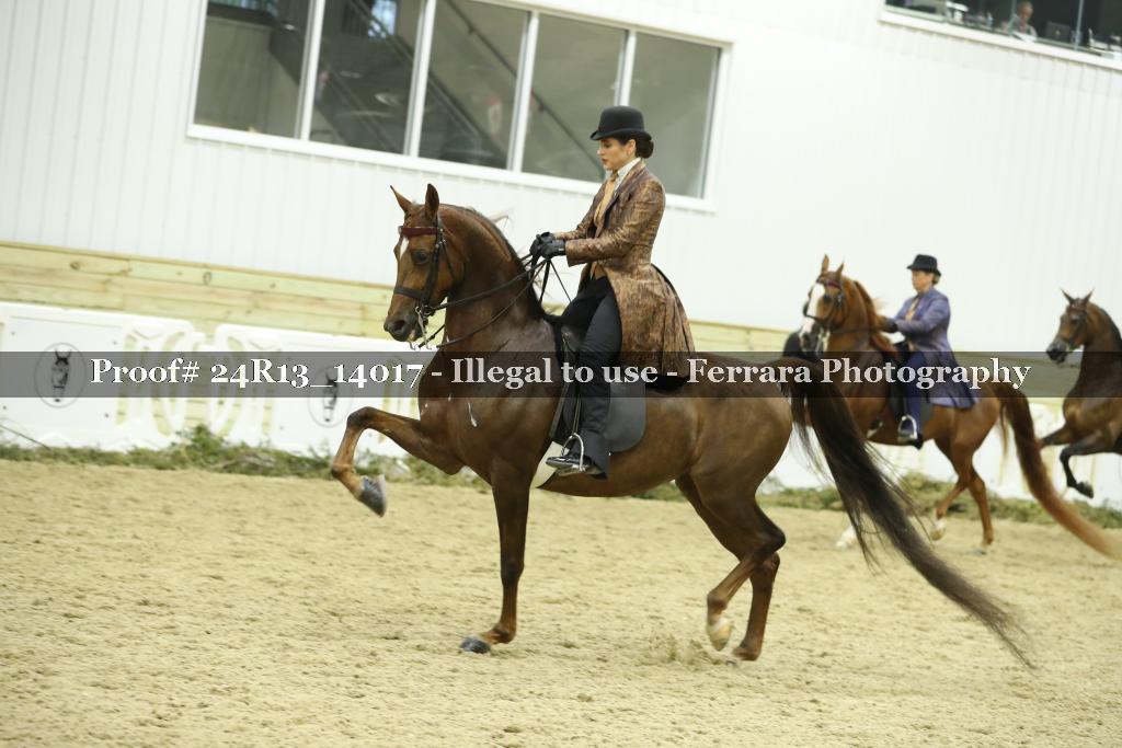 Proof 24R13_14017