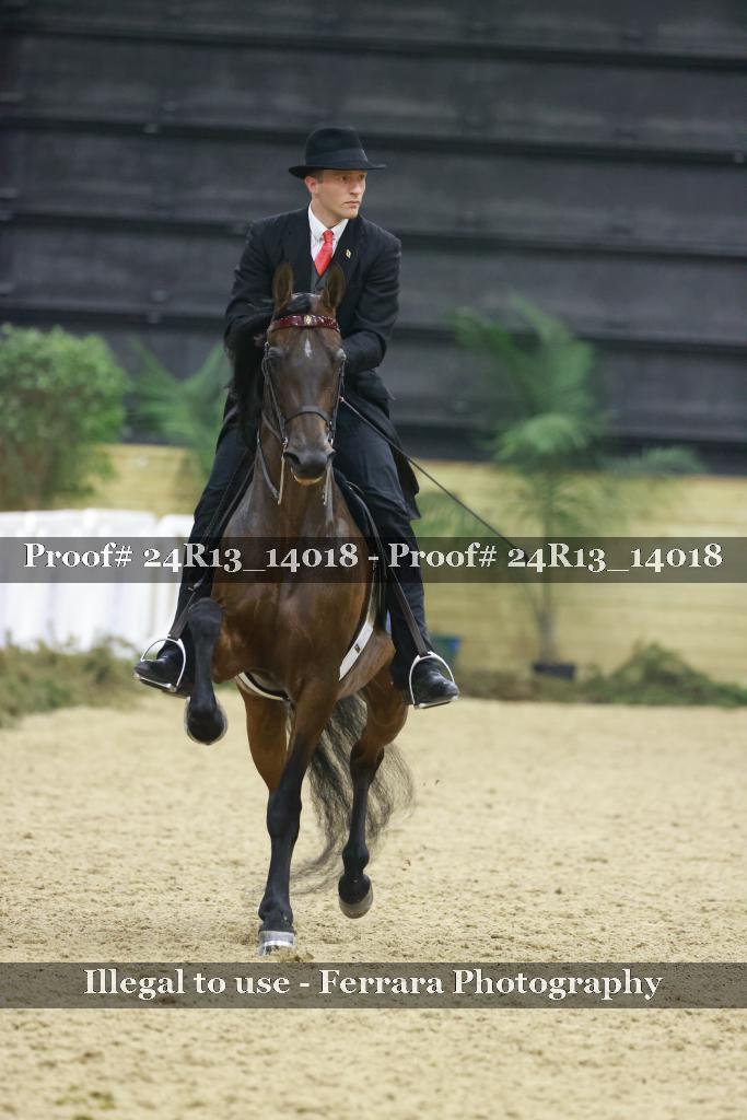 Proof 24R13_14018