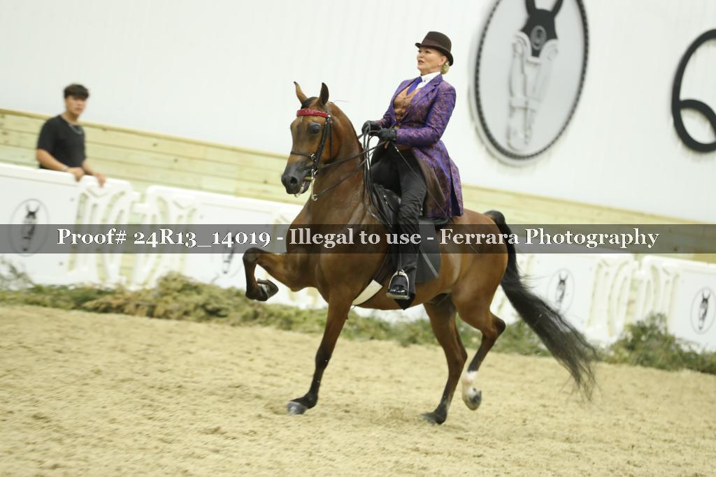 Proof 24R13_14019