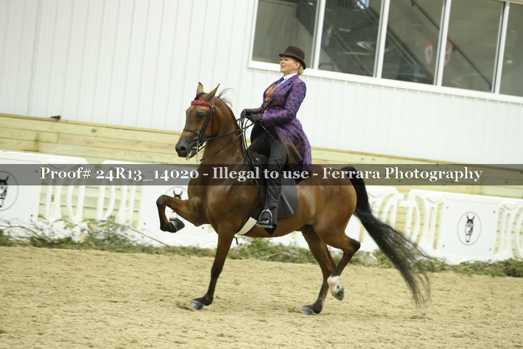 Proof 24R13_14020