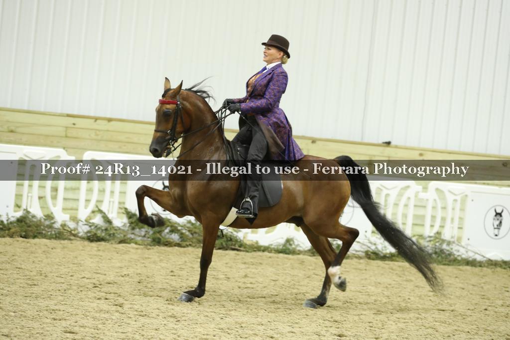 Proof 24R13_14021