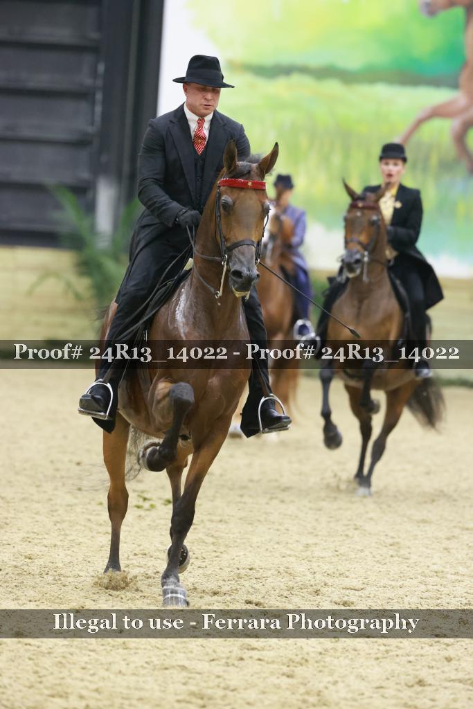 Proof 24R13_14022