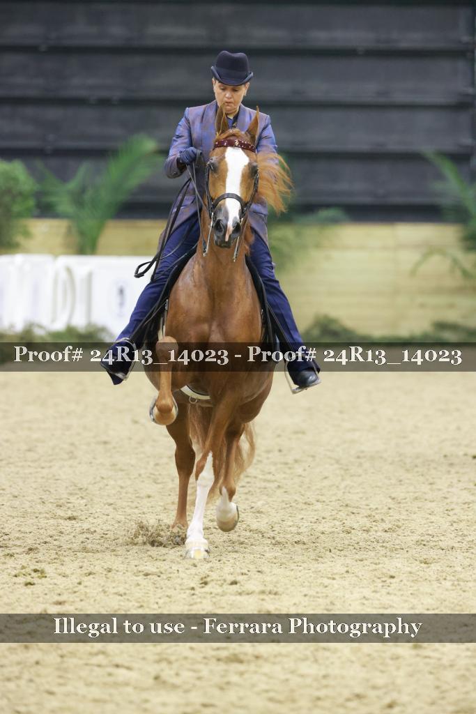 Proof 24R13_14023