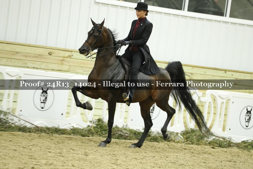 Proof 24R13_14024