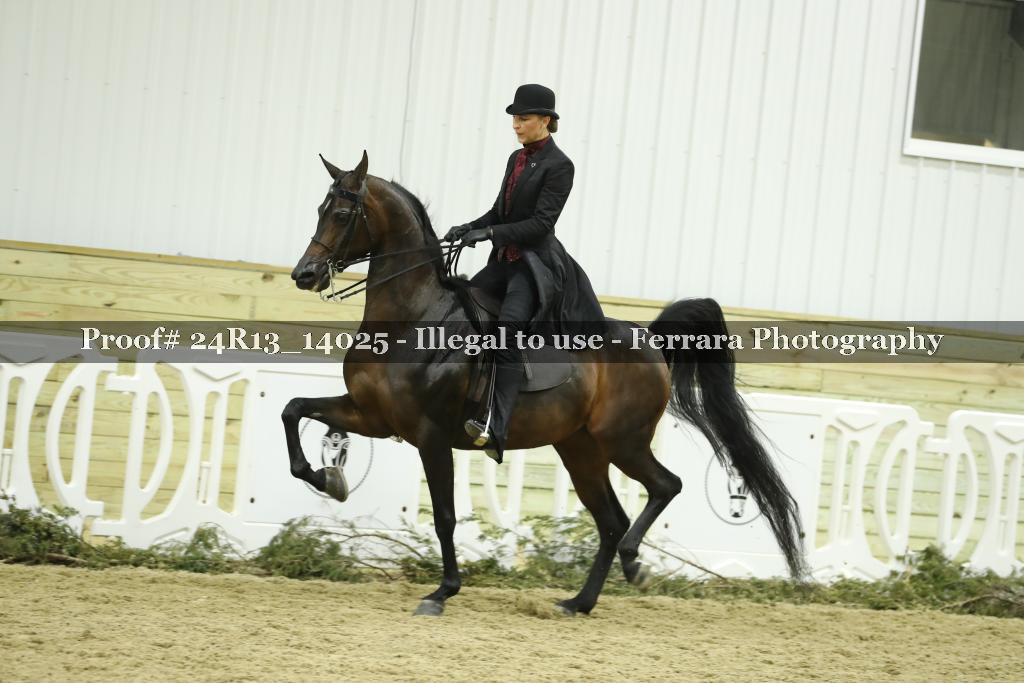 Proof 24R13_14025