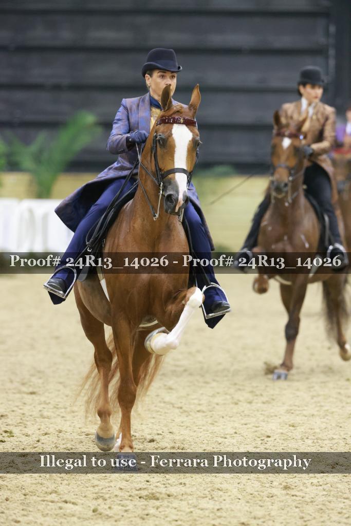 Proof 24R13_14026