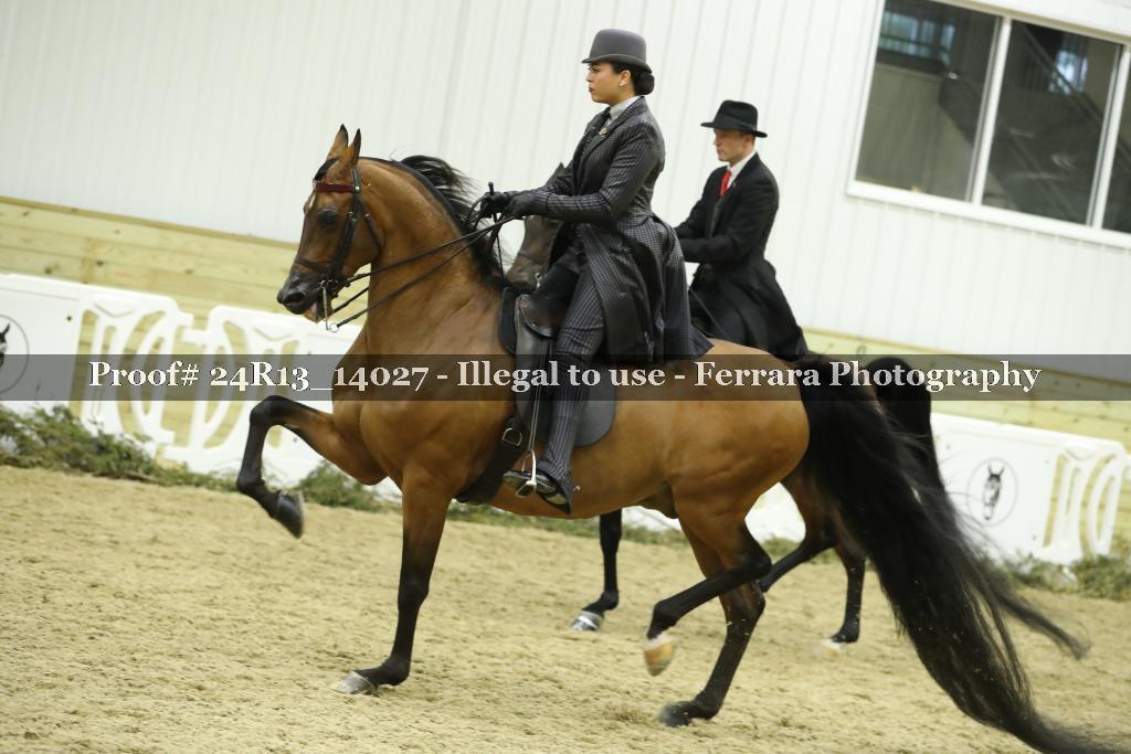 Proof 24R13_14027