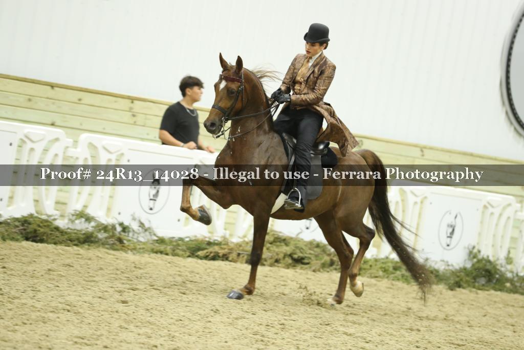 Proof 24R13_14028