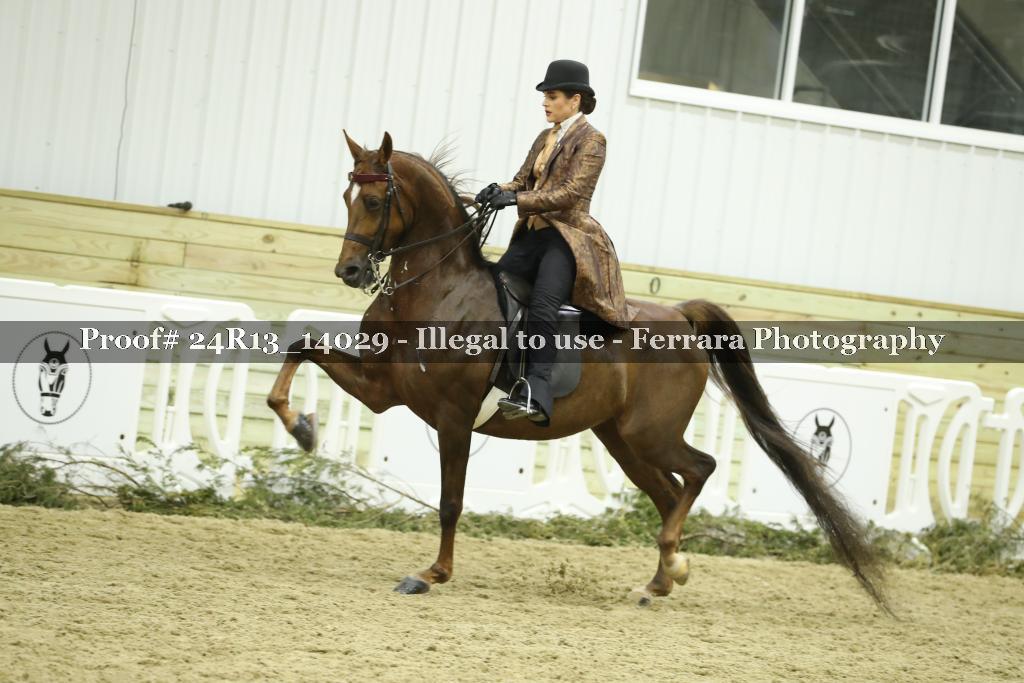 Proof 24R13_14029