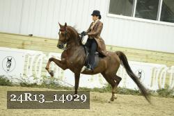 24R13_14029 proof