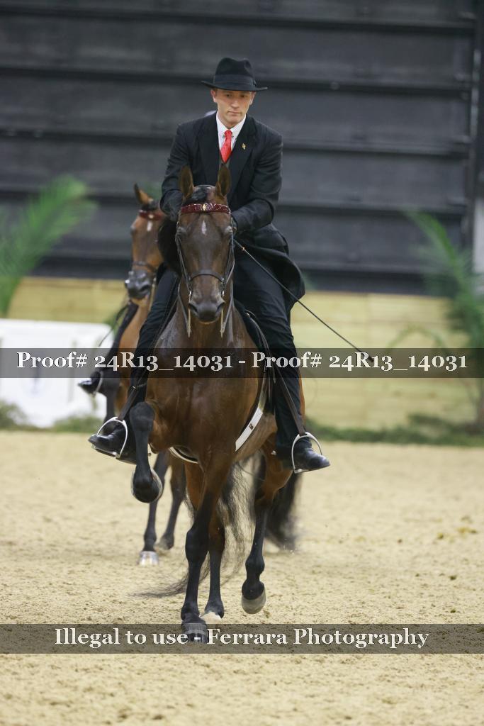 Proof 24R13_14031