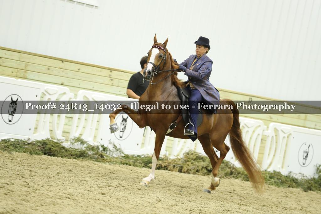 Proof 24R13_14032