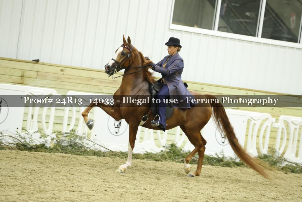 Proof 24R13_14033